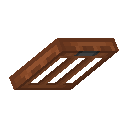 Acacia Trapdoor