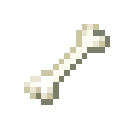 Bone