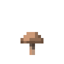 Brown Mushroom