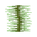 Kelp Plant