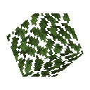 Oak Leaves