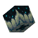 Sculk Catalyst