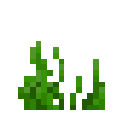 Seagrass