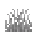 Short Grass