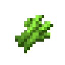 Sugar Cane
