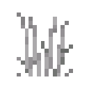 Tall Grass