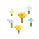 Wildflowers