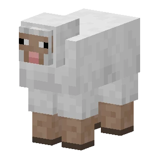 Sheep