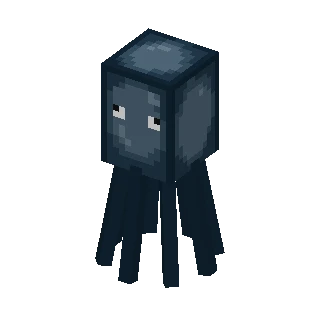 Squid